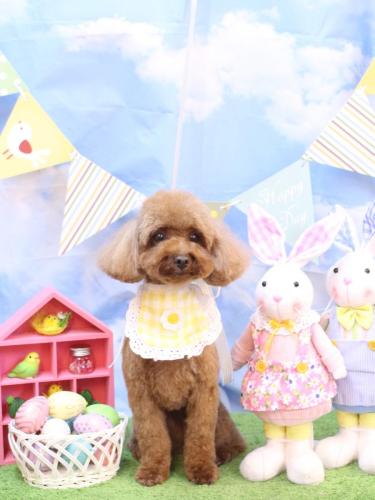 20240324ルアナちゃん (1)